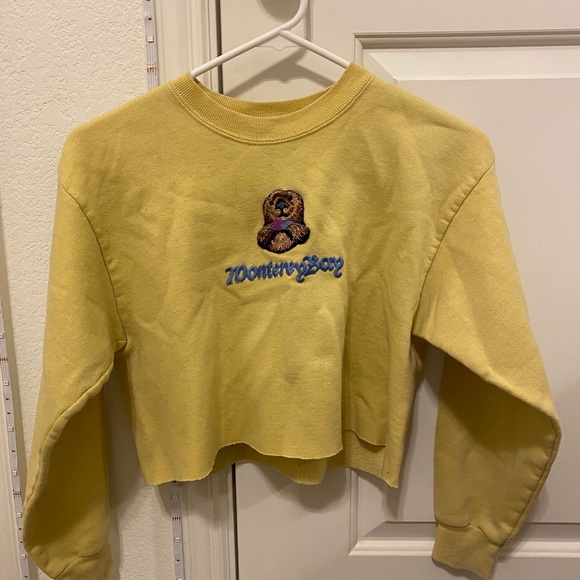 Hanes Sweaters - vintage cropped monterey bay sweatshirt